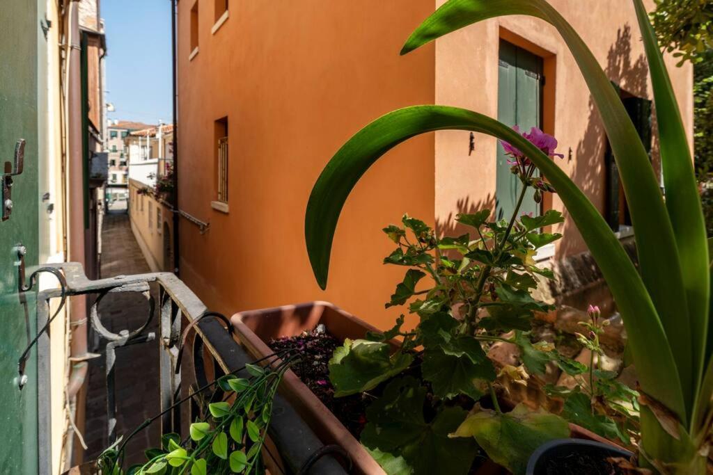 Appartement Ca' Mandorla 027042Loc09523 à Venise Extérieur photo
